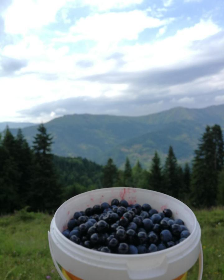 Eco Village Jasavic Плав Экстерьер фото